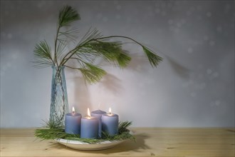 Blue candles, three lit for the third advent, and a vase with pine branches, modern decoration in