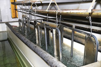 A set of zinc-plated gates for an abattoir receive a rinse in clean water as part of the