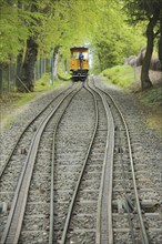 Neroberg railway with rails and rack at the passing point, incline, gradient, drive, rope, track,