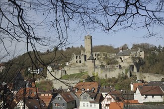 View of castle, Eppstein, Taunus, Hesse, Germany, Europe