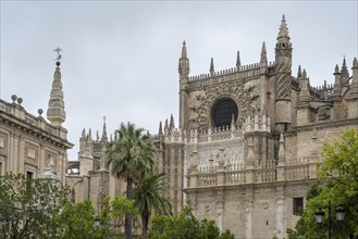 Seville Cathedral, Catedral de Santa Maria de la Sede, Seville, Andalusia, Spain, Europe