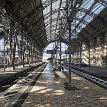 Platform hall, platform 22 and 23, main railway station, Frankfurt am Main, Hesse, Germany, Europe