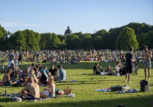 Many people sitting relaxed in the English Garden on a summer's day, English Garden, Munich,