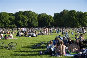 Many people sitting relaxed in the English Garden on a summer's day, English Garden, Munich,