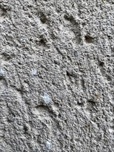 Vertical view of White cement texture sandstone concrete, rock plastered stucco wall, painted flat