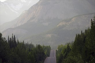 Mountain road through a misty forest with surrounding mountains in the background, Icefields