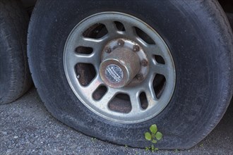 Close-up of flat tire on old abandoned motor vehicle, Quebec, Canada, North America