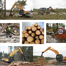 Montage of activities on forestry sites in New Zealand