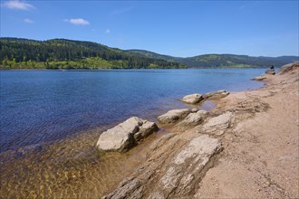 Schluchsee surrounded by trees and rocky shores under a clear blue sky, spring, Schluchsee, Black