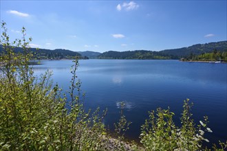 Schluchsee surrounded by green trees and a clear blue sky in the background, spring, Schluchsee,