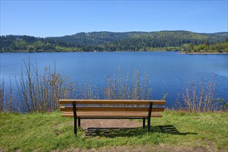 A wooden bench at Schluchsee with a view of mountains and blue sky, surrounded by green nature,