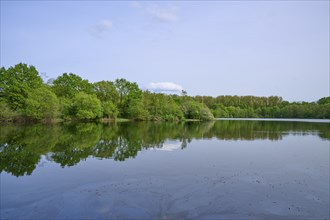 A quiet lake with a clear reflection of the surrounding green trees under a blue sky, spring,