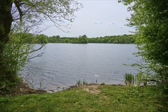 A peaceful lake surrounded by trees, with clear water and blue sky in spring, Kinzigaue, Erlensee,