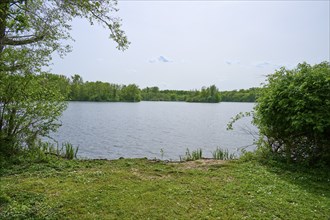 A peaceful lake surrounded by trees, with clear water and blue sky in spring, Kinzigaue, Erlensee,