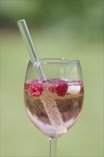 Drink, Lillet, wine glass, raspberries, alcohol, fresh, Lillet with ice and raspberries in a glass