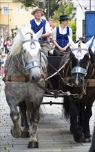 Pichelsteinerfest Regen, Lower Bavaria, Germany, July 26 2024, horse-drawn carriage, Europe