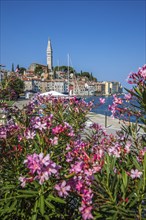 Old historic dreamy town on a beautiful island. Panorama of a romantic tourist town on a coast.