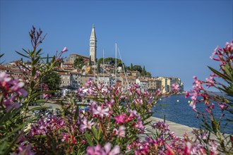 Old historic dreamy town on a beautiful island. Panorama of a romantic tourist town on a coast.