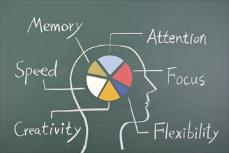 Concept of six ability in human brain. Graph with colorful chart on blackboard