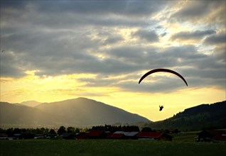 Paraglider lands in the sunset at the landing site Oberammergau, Bavaria, Germany, Europe