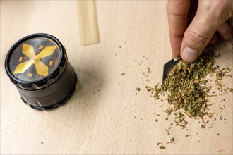 Recognizable person preparing a marijuana joint