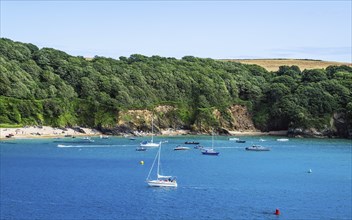 Boats and Yachts on Kingsbridge Estuary in Salcombe and Mill Bay, Batson Creek, Southpool Creek,