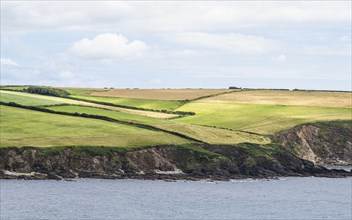 Fields and Farms Cliffs over cliffs, Mothecombe Beach, Mothecombe, River Emme and Red Cove,