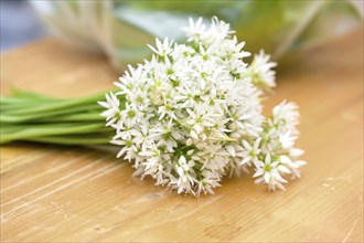 White flower bouquet of wild garlic or ramsons (Allium ursinum) on a wooden cutting board, used in