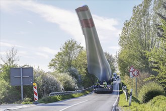 Heavy transport of a wind turbine blade lifted up to avoid obstacles and slowing the traffic on a