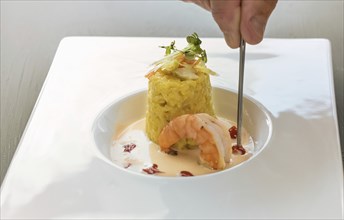 Hand with tweezers garnishing a gourmet dish from saffron risotto with herb topping, a large prawn