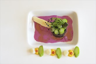 Vegetarian gourmet dish made of asparagus wrapped in nori seaweed, beetroot dressing and leek