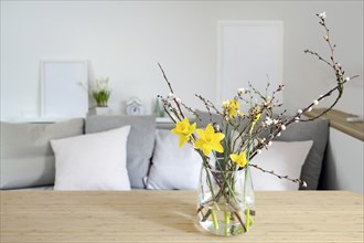 Spring bouquet with daffodils and flowering branches in a glass vase on a table in front of a sofa