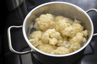 Cooking pieces of cauliflower in boiling water in a stainless steel pot on a black cooktop, healthy