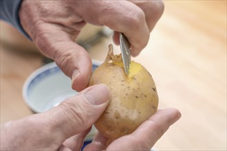 Hands of an elderly man peeling a cooked potato with a kitchen knife, preparing food, copy space,