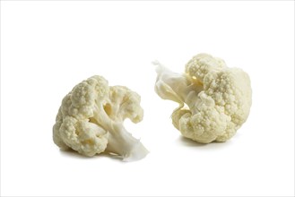 Two pieces or florets of cauliflower, ingredient for healthy cooking with vegetables, isolated on a