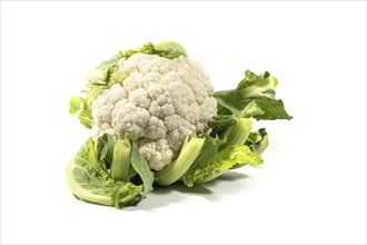 Cauliflower, raw whole vegetable isolated on a white background, ingredient for healthy vegetarian