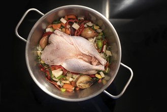 Ingredients for a healthy soup with a whole chicken and vegetables in a stainless-steel pot on the