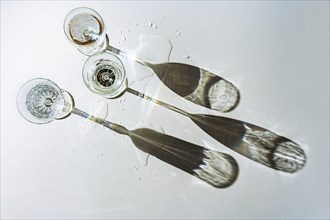 Three different drinking glasses filled with water are casting long shadows on a gray background,