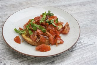 Bruschetta, toasted bread with garlic and olive oil, served with diced tomatoes, onion and basil,