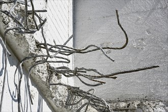 Rebars from iron stick out of a bright concrete wall after demolition, abstract grunge concept for