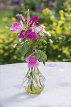 A bouquet of pink roses and other flowers in a clear vase, North Rhine-Westphalia, Germany, Europe