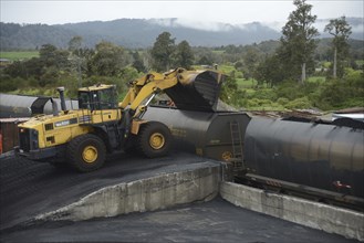 STILLWATER, NEW ZEALAND, OCTOBER 25, 2019: A payloader fills train wagons with coal at the siding