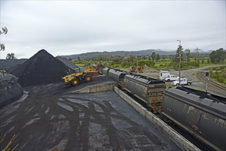 STILLWATER, NEW ZEALAND, OCTOBER 25, 2019: A payloader fills train wagons with coal at the siding