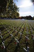 CHRISTCHURCH, NEW ZEALAND, APRIL 20, 2018: A field of crosses represents those who died in the