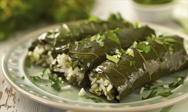 Stuffed grape leaves with rice and herbs on a pastel green plate AI generated