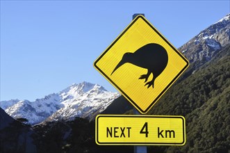 Road sign warning of kiwis near Arthurs Pass, South Island, New Zealand, Oceania