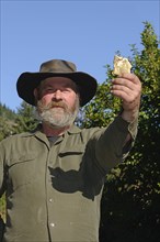 A prospector holds up a specimen of a gold nugget. Focus on prospector's face