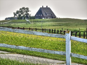 A wooden fence leads the eye to a house in the distance, surrounded by green nature and a clear