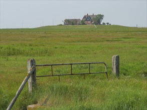 A Tor tor leads to a house in the distance, surrounded by a vast, green landscape and a peaceful