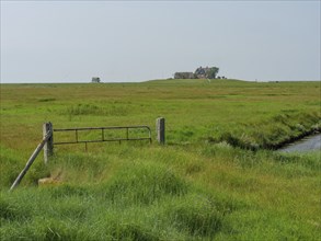 An old, wooden Tor tor stands in the middle of a wide, green meadow, reflecting the Sommerland,